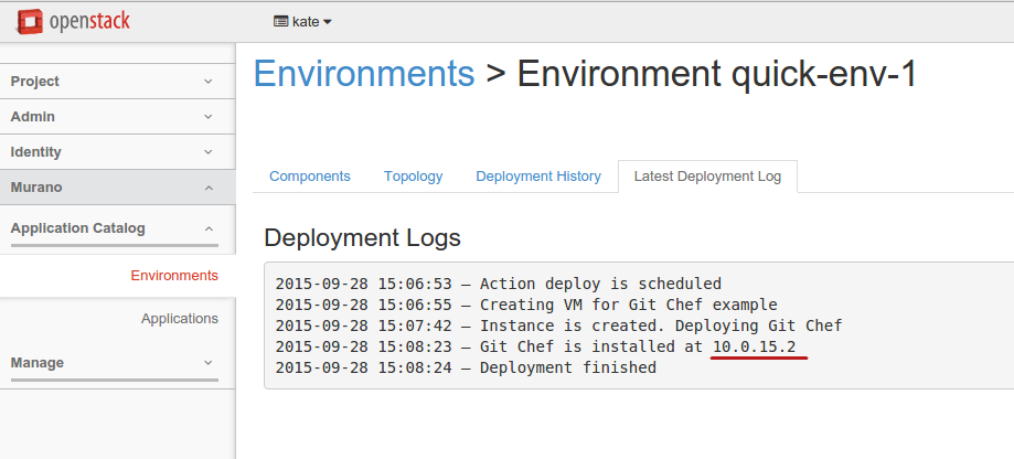 Application logs: IP is provided