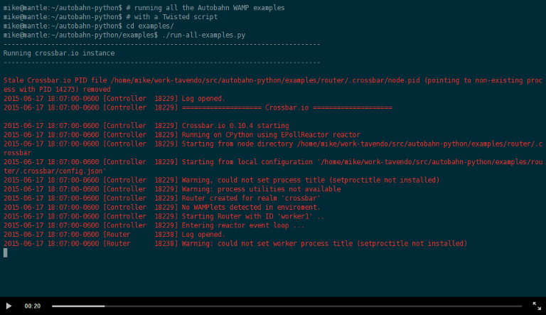 ascii-cast of all WAMP demos running